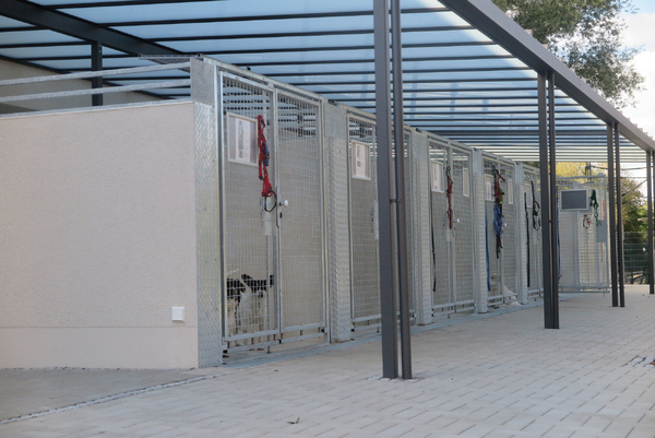 Hundehaus rechts