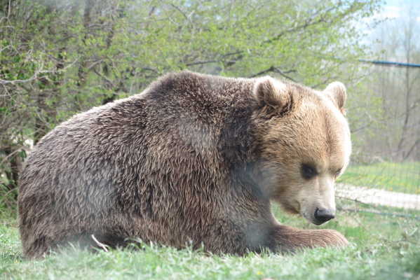b&Auml;R