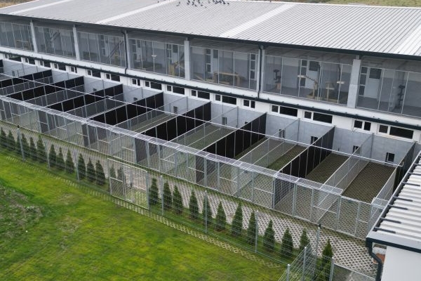 Hundehaus Links